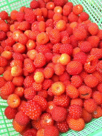 哈尔滨市内环境,哈尔滨一年四季的现状