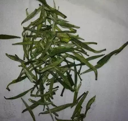 中国十大名茶最新排名绿茶,中国十大名茶