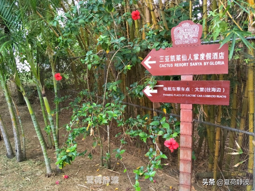 海南潜水旅游攻略一日游,海南亚龙湾游记