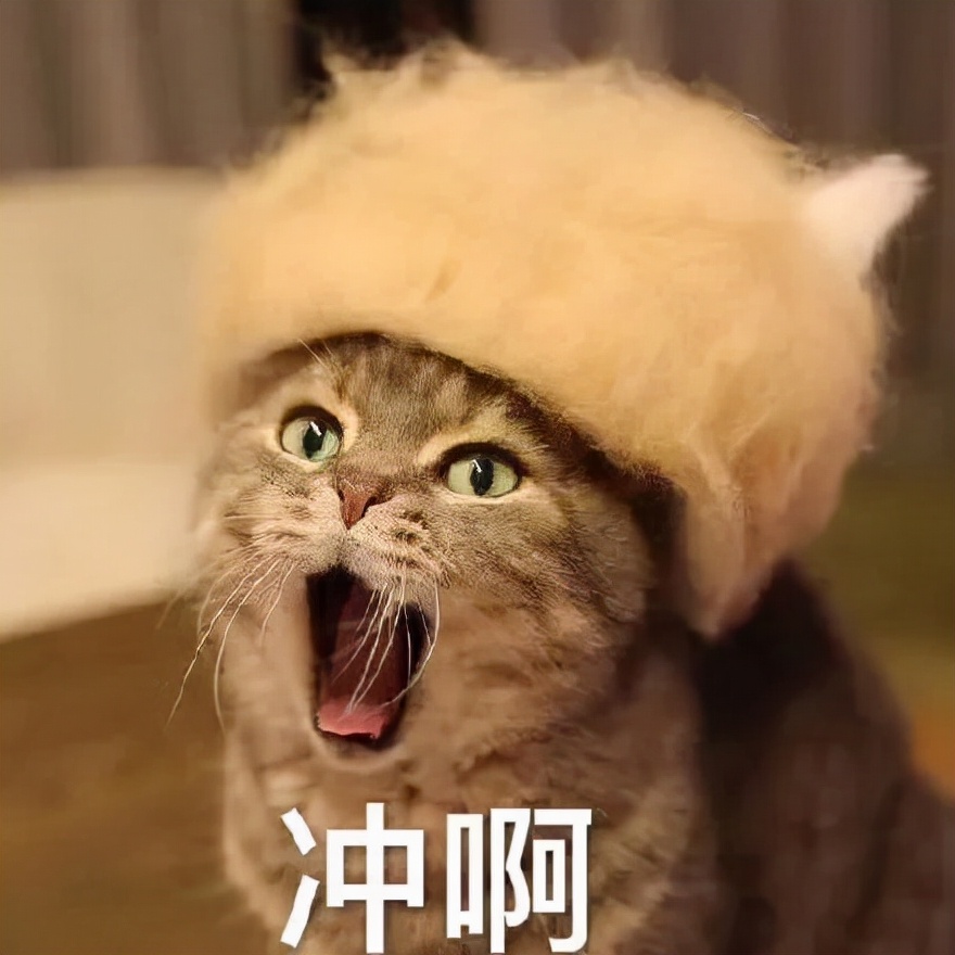 2022涓噾鏍℃嫑瑙嗛,2022涓噾鍏徃鏍℃嫑