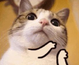 宝宝食用油吃哪种油比较好,小孩子多大可以吃跟大人一样的油