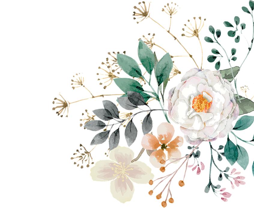 央视评论员谈乘风破浪的姐姐,主播参加乘风破浪的姐姐