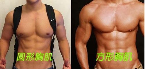 如何拥有好看的胸肌,如何拥有饱满的胸肌小编教你四招