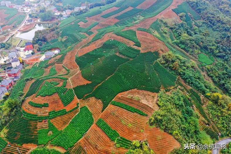 走进中泰,这里是泰国