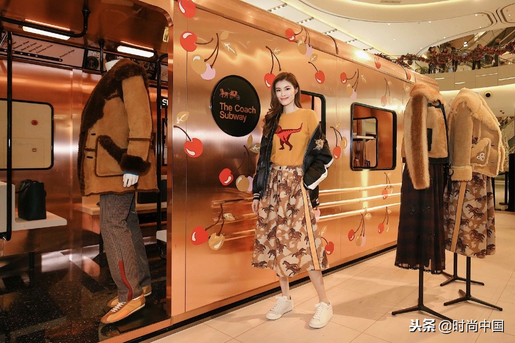 倪妮同款小猫咪,倪妮李宇春奇妙的动物