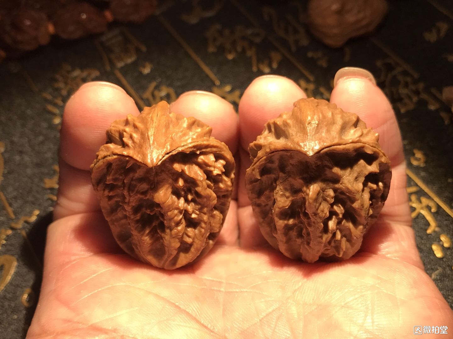 文玩核桃蛤蟆头产地,文玩核桃产地哪里的最好