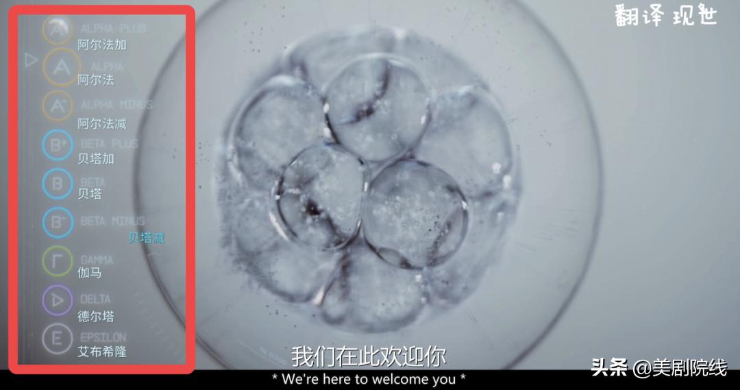 惊悚科幻神剧看完头皮发麻,一集上有科幻电视剧