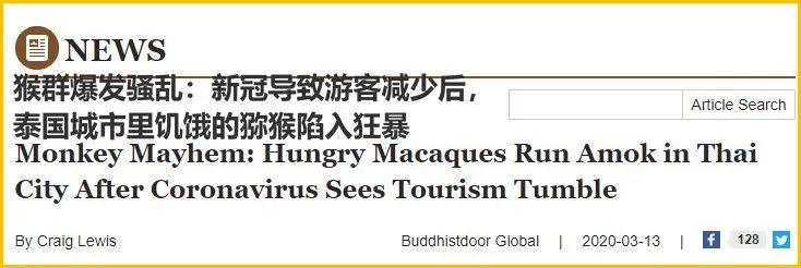 少了中国游客，整个生态圈都乱了