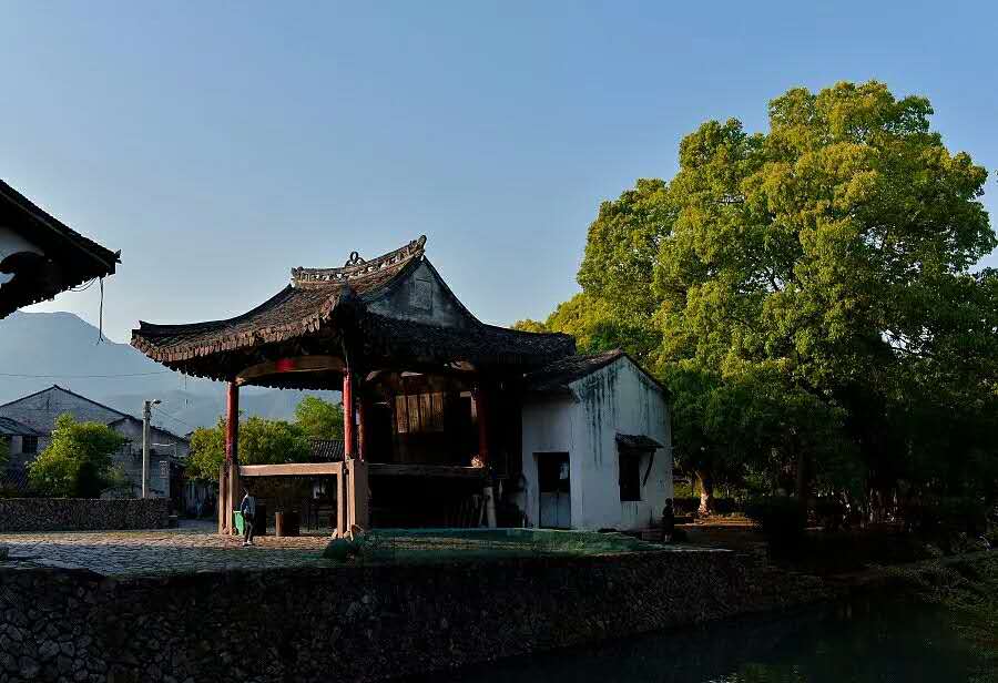 徐长鸿戊戌诗选