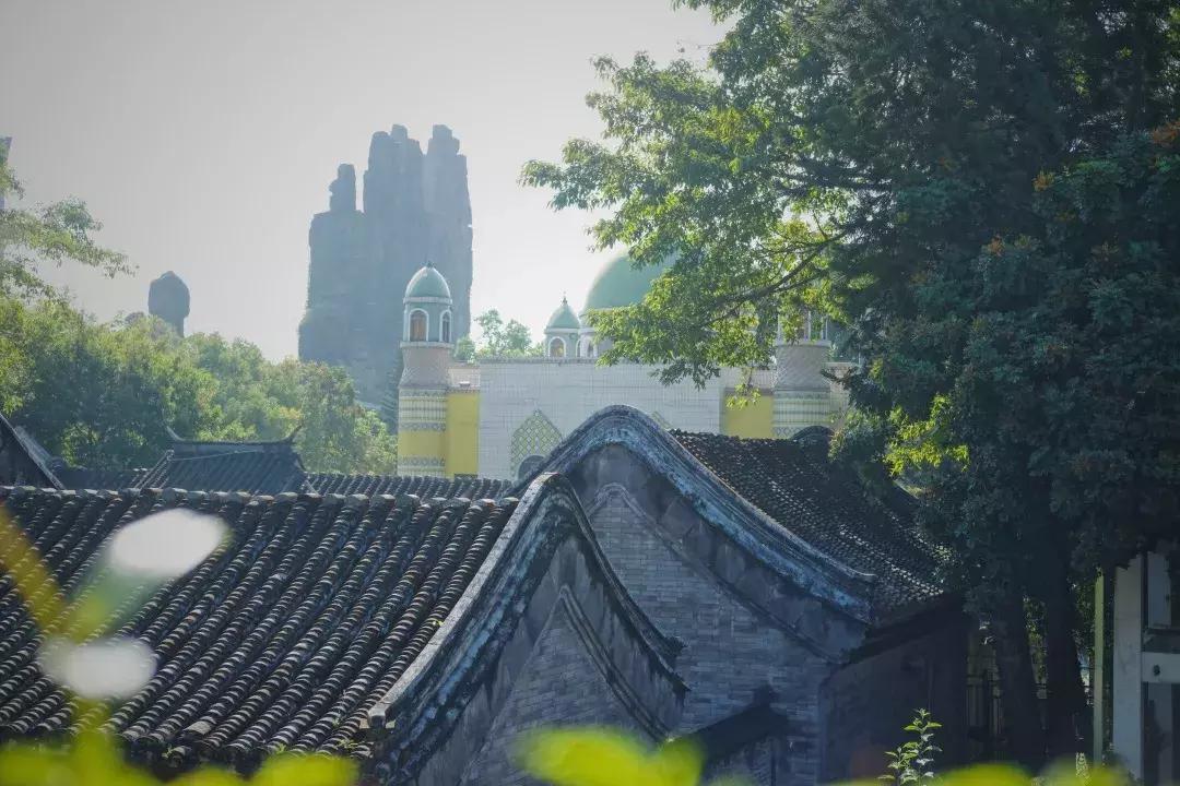 最近的华侨城,独一无二华侨城