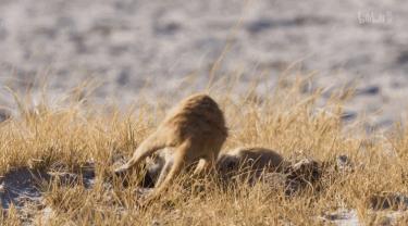 豆瓣评分9.5以上的国产电影有哪些,十部顶级神片推荐