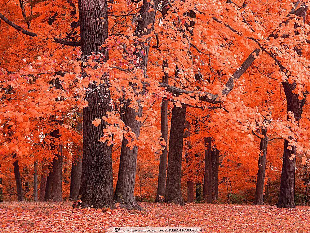 创业一定不要把事情想得那么简单,想创业这些忠告要牢记