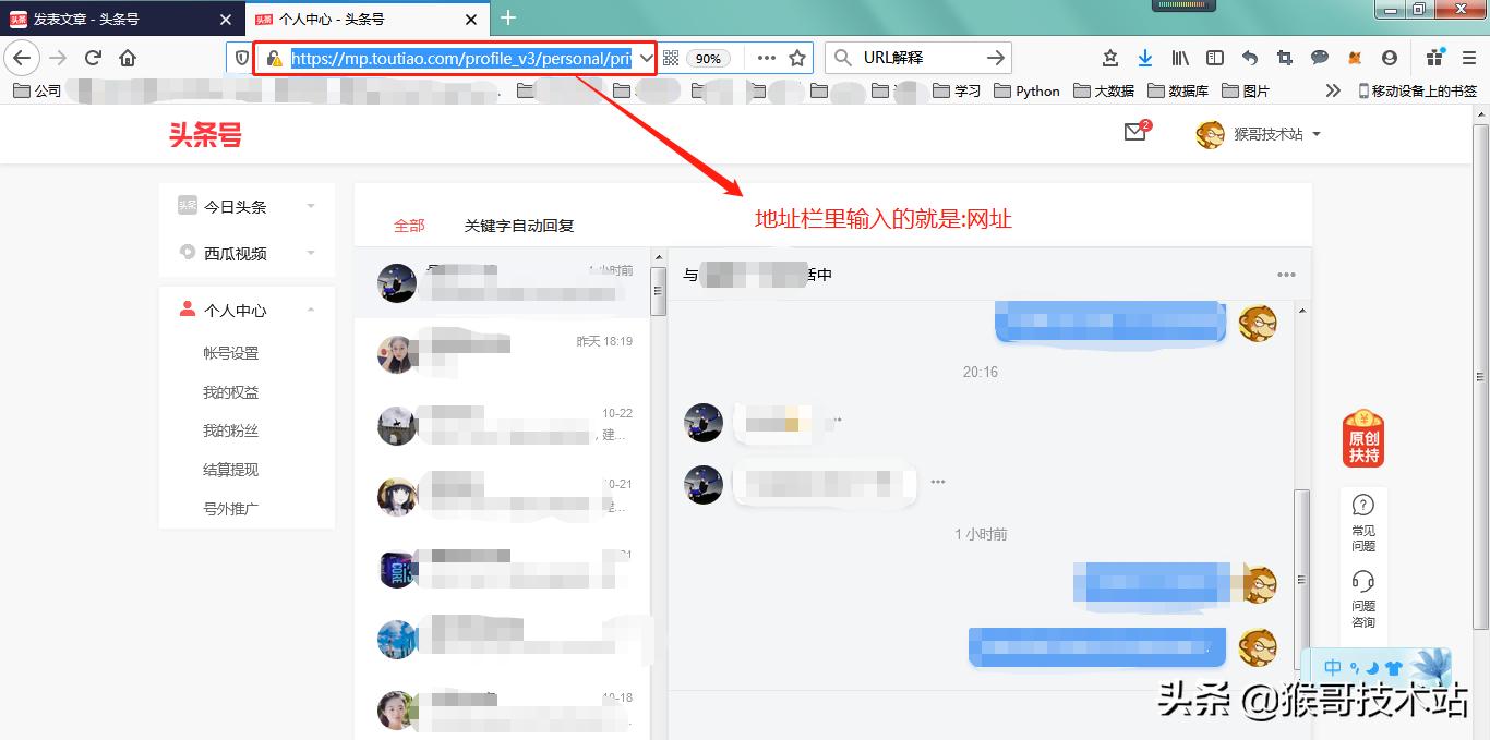 ip协议报文详解,网域ip地址解析