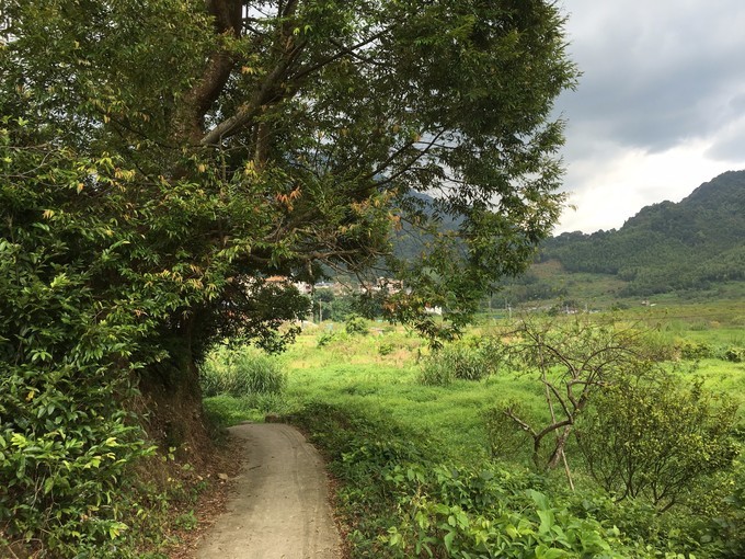 广州从化溪头村一日游出游攻略,从化溪头村自驾游攻略视频