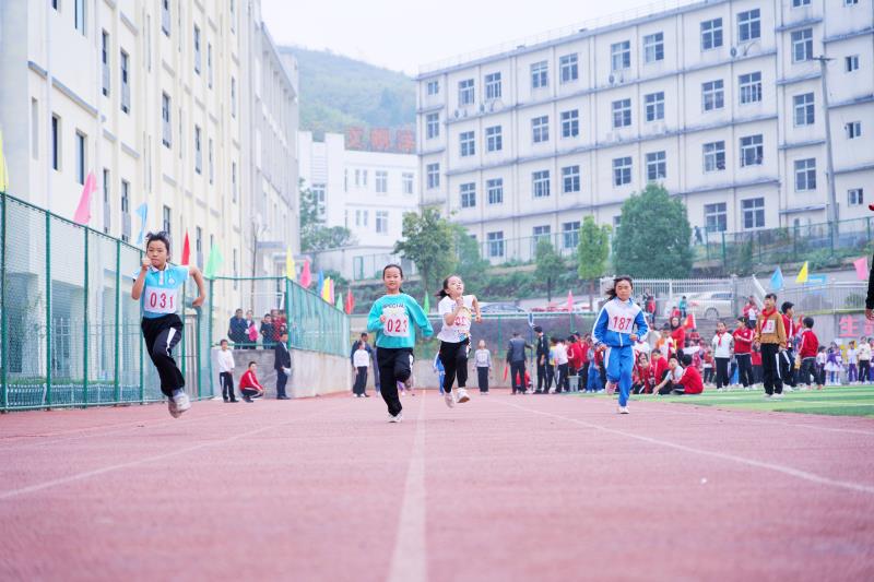 娲嬫箹涓績灏忓绗笁灞婄敯寰勮繍鍔ㄤ細,娲嬫箹涓績灏忓绗笁鍦虹敯寰勮繍鍔ㄤ細