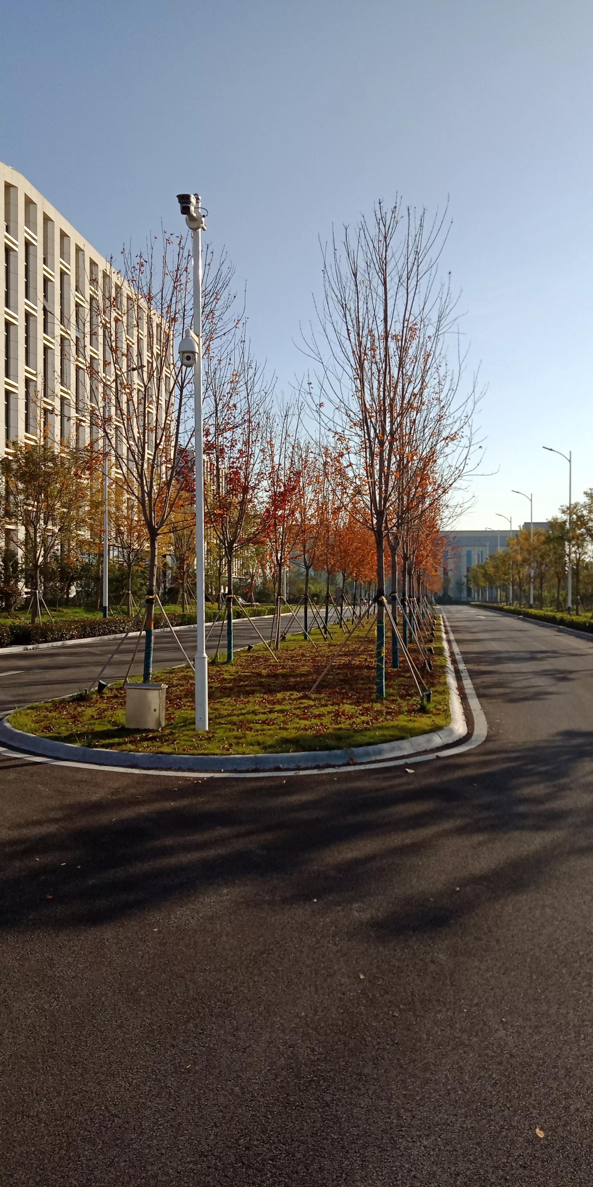 山东省济宁市西郊的李楼和鲁抗医药的悠悠岁月