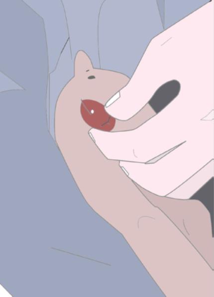 兽医新手该如何给猪打针,老兽医怎么给母狗绝育