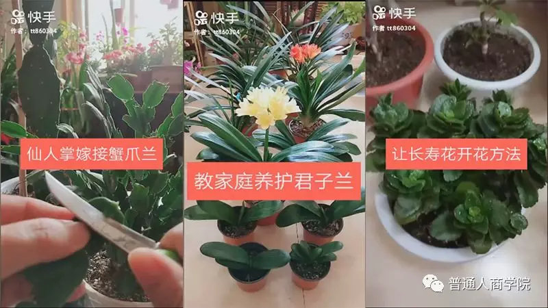 快手养花怎么赚钱啊,快手怎么养花赚钱