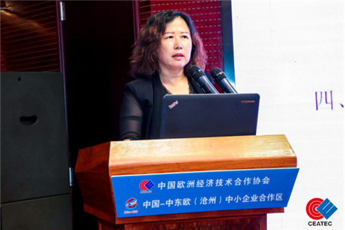 中国中东欧沧州合作示范区,沧州中东欧博览会2023