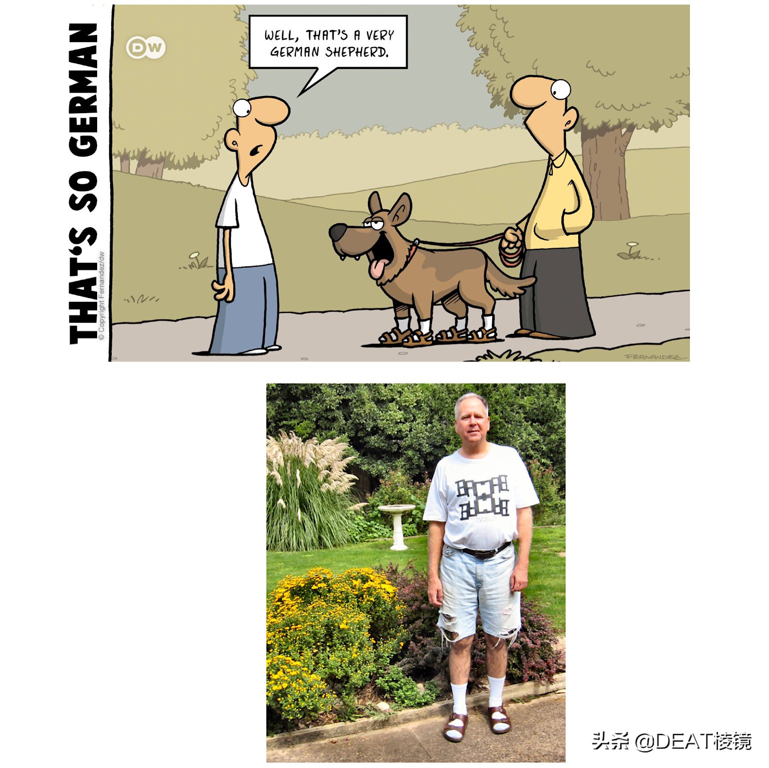 德国人的圣诞树，可能是啤酒瓶做的——漫画家笔下的德国人