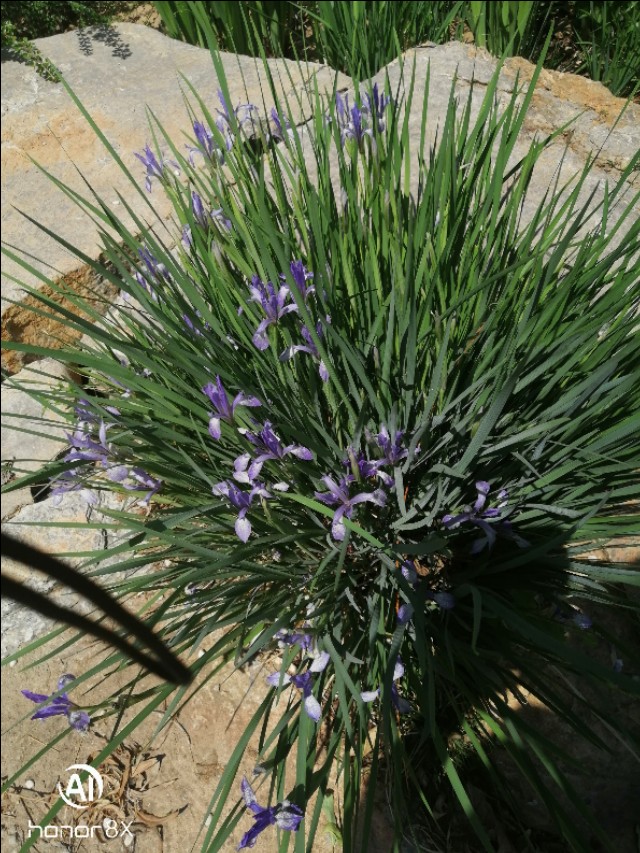 减河公园,减河公园的视频