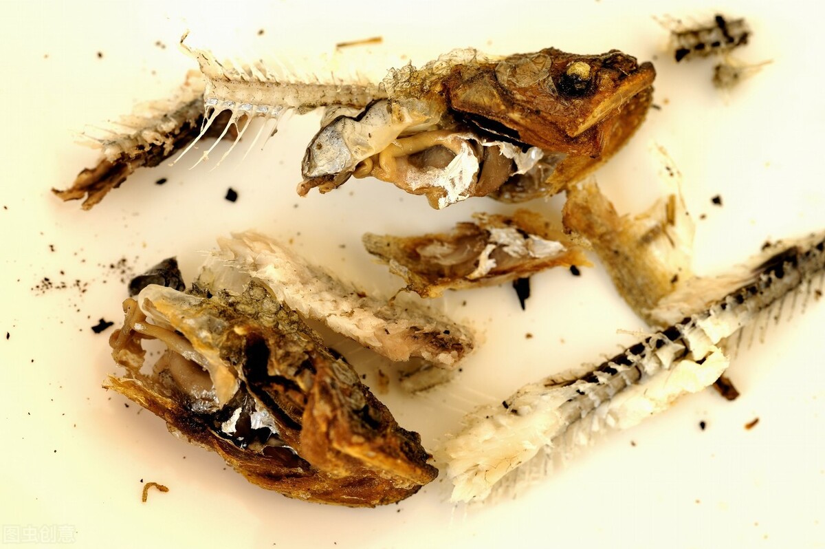 被鱼刺卡住了怎么急救,被鱼刺卡住了的正确自救方法