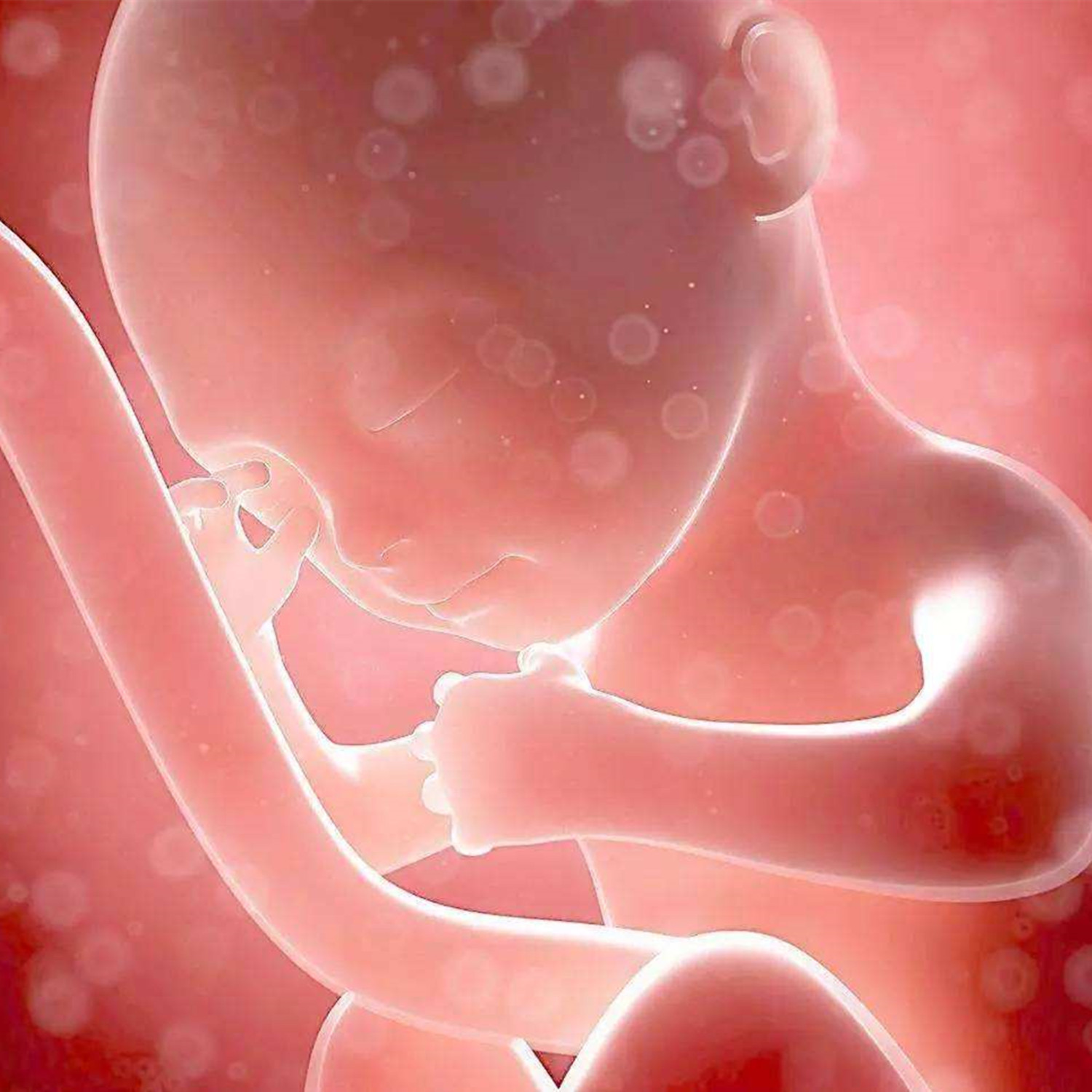 孕期不同阶段胎动规律也不同，了解三个技巧，才能正确数出胎动