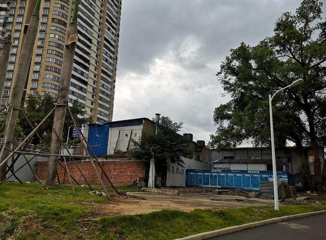 广西大学变化历史,广西大学文科毕业的你后来咋样了