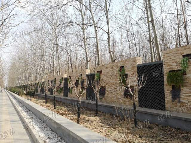 中海望京府正式售楼处,中海望京府实景展示