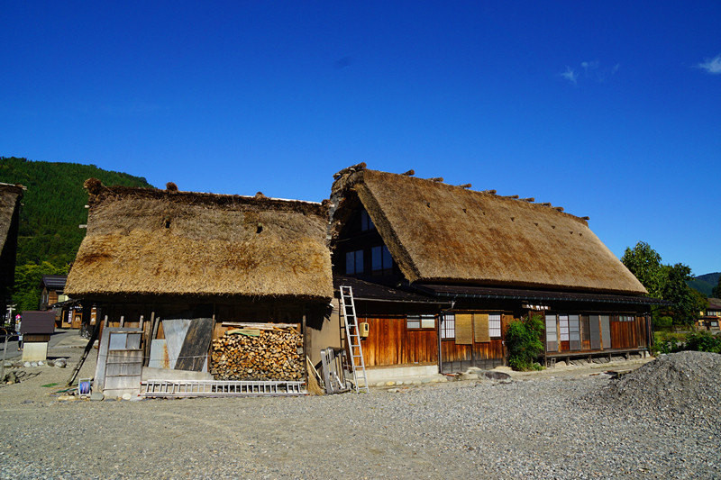 五天三晚之邂逅名古屋，新奇的日本之旅