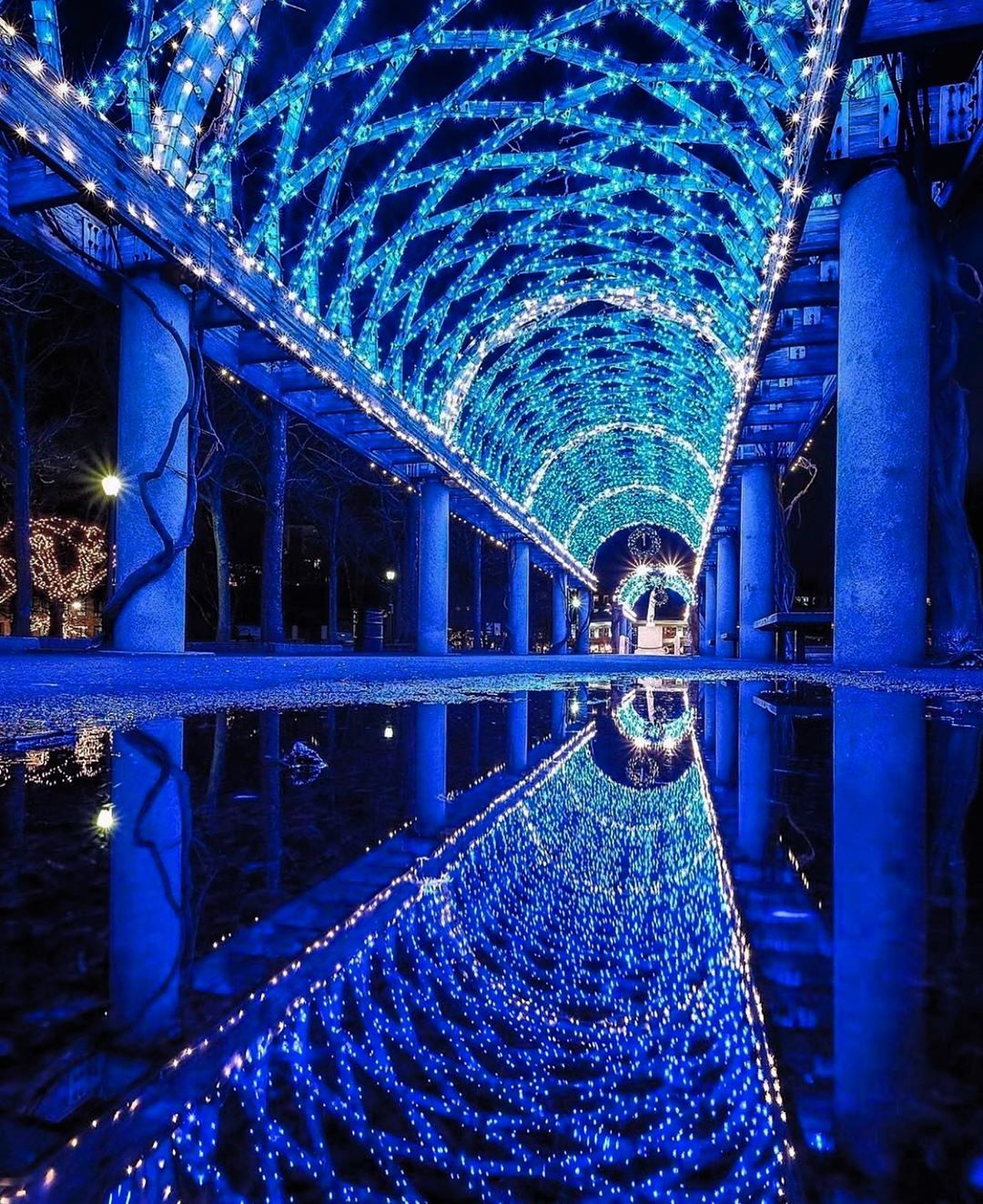 圣诞季EVENT丨美拍打卡、扫街探店，如何把波士顿逛成「三里屯」？