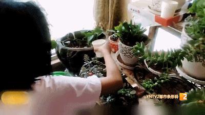 节约用水用淘米水浇花,用洗菜水浇花节约用水看图写话