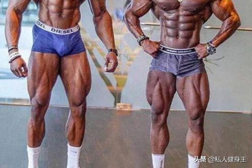 在家腿部增肌最有效的方法,腿部增肌增粗为主的健身计划
