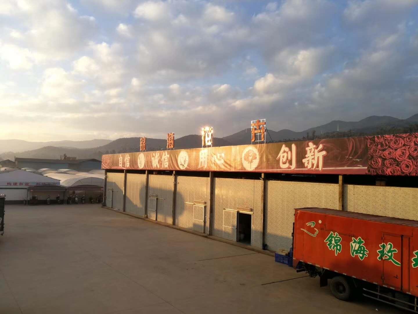 云南省通海县骄阳花卉种苗专业合作社风采(组图)