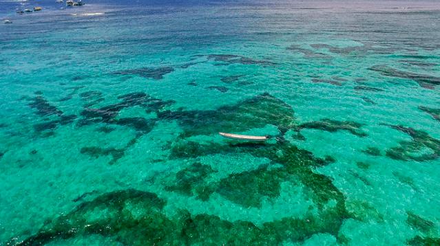 《人间尽兴清单》华姐的打开方式,你根本想不到