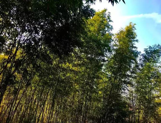 距离西安近的自然风景区,西安自驾游古梯田