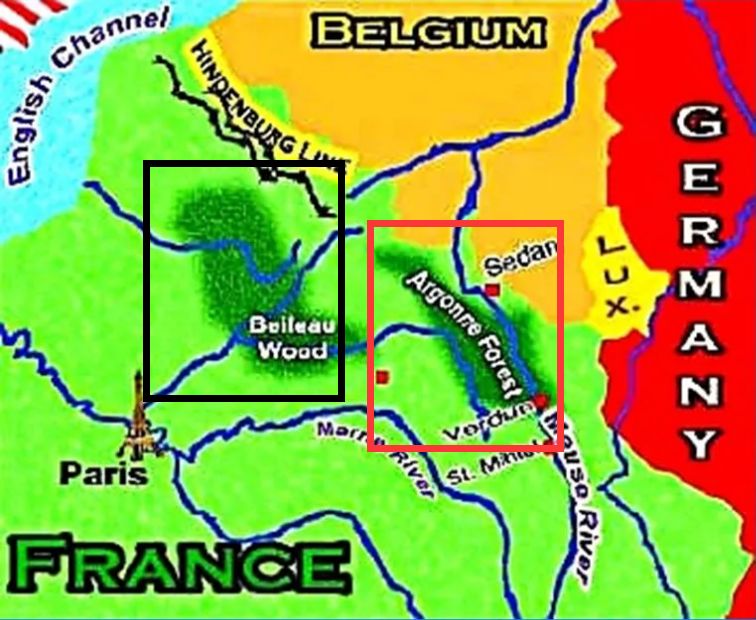 世界大战中的信鸽传奇：以吾一“鸽”之力挽救无数生命
