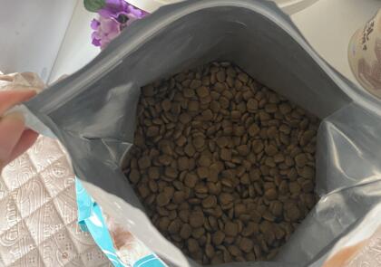 纽顿狗粮测评排行榜前十名,纽顿狗粮和耐吉斯档次一样吗