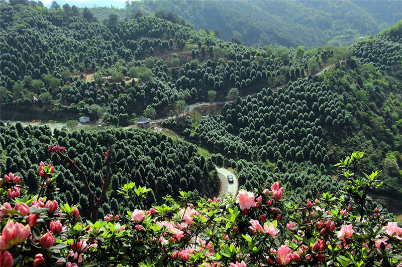 四川旅游踩坑的地方,贵州旅游踩坑