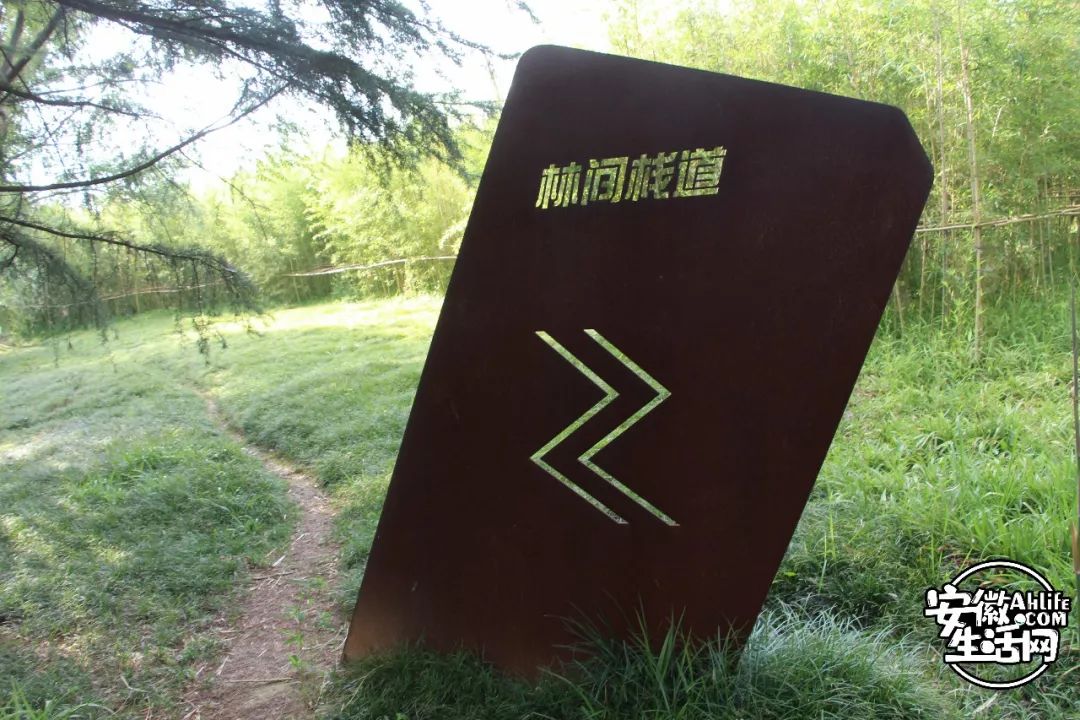 庐阳老城内藏着一处最大的综合性森林公园，人少景美，关键还免费