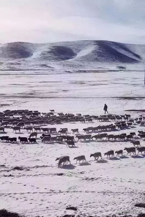 这个冬天邂逅西藏的美好时光 (冬天和爱人邂逅真正的西藏)