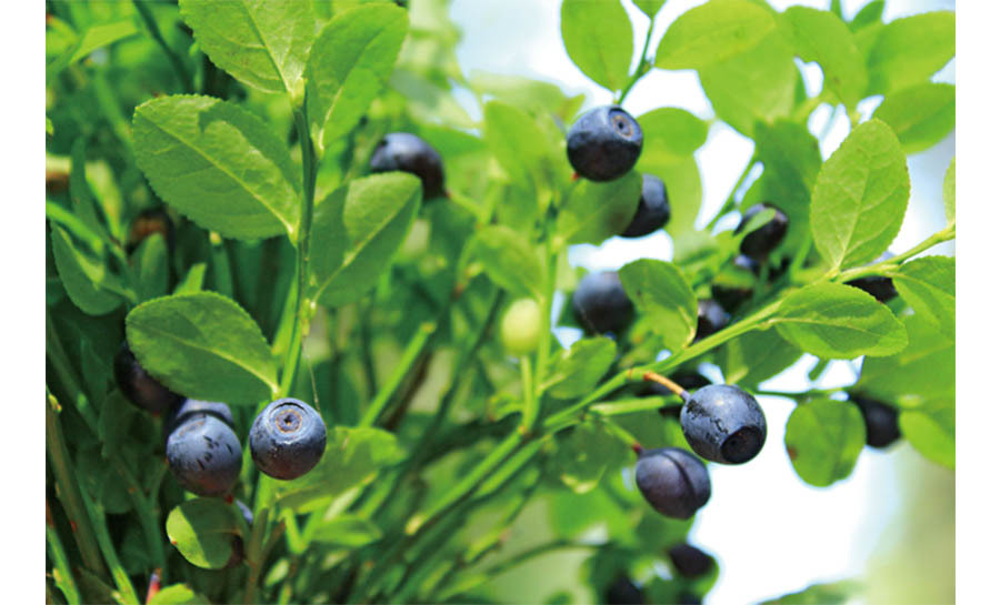 美妆大赏视频,美妆大赏遮瑕