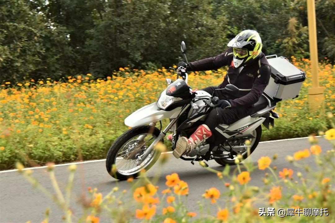 2019年豪爵nk150一万公里多钱,2019年豪爵dk150