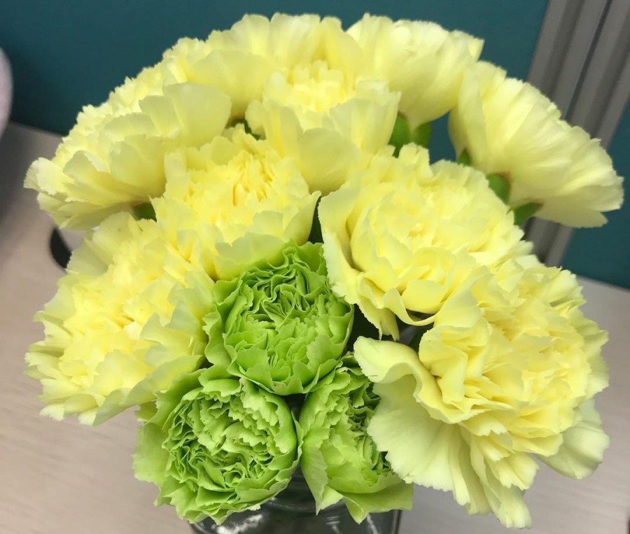 母亲节为什么要送女朋友礼物,母亲节送什么颜色的康乃馨