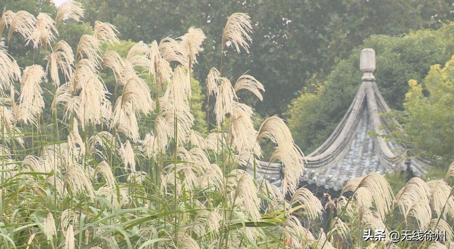 四色的徐州之秋，你最爱哪一款？