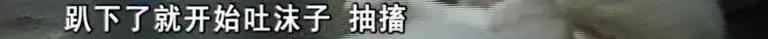 寄养“恶霸”离奇暴毙，医生说，可能是热的……