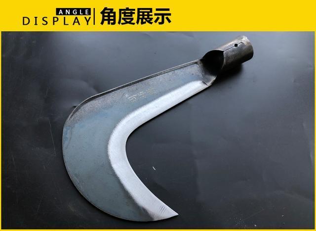 山上的蛇看到人会攻击吗,人被蛇追蛇会追得上吗