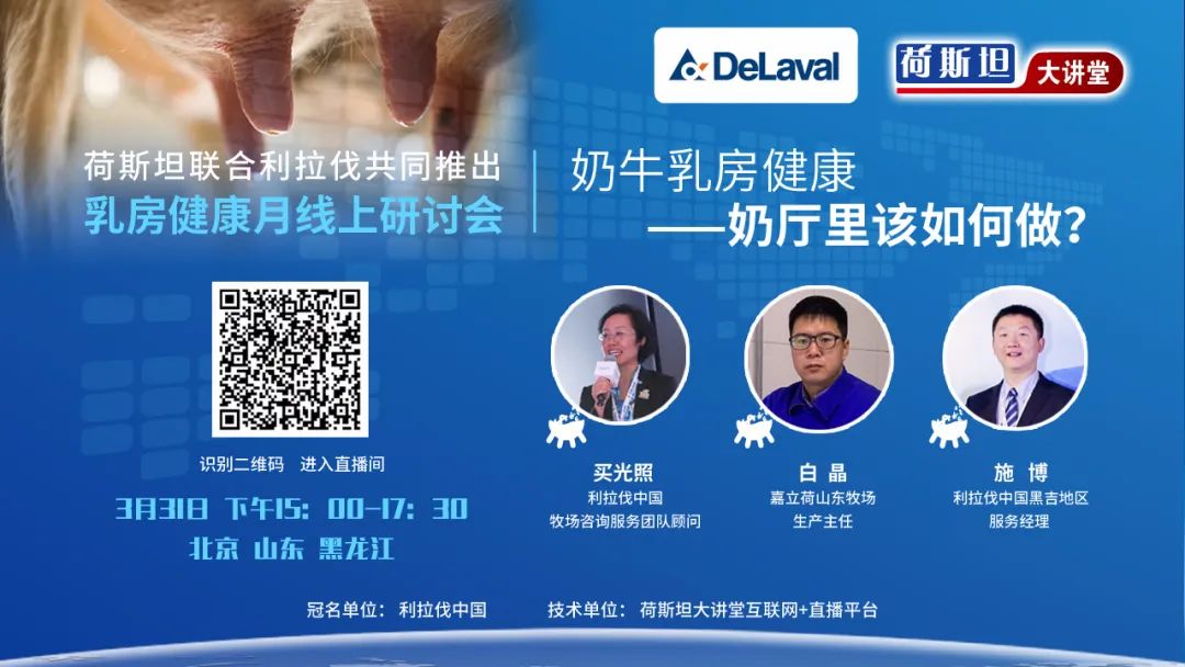 如何有效避免奶牛得乳房炎,奶牛停奶后得了乳房炎怎么回事