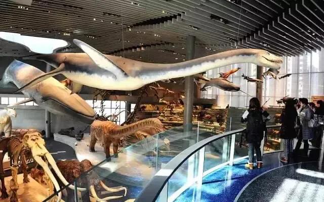 上海地铁沿线景点一日游,上海地铁11号线上海赛车场站