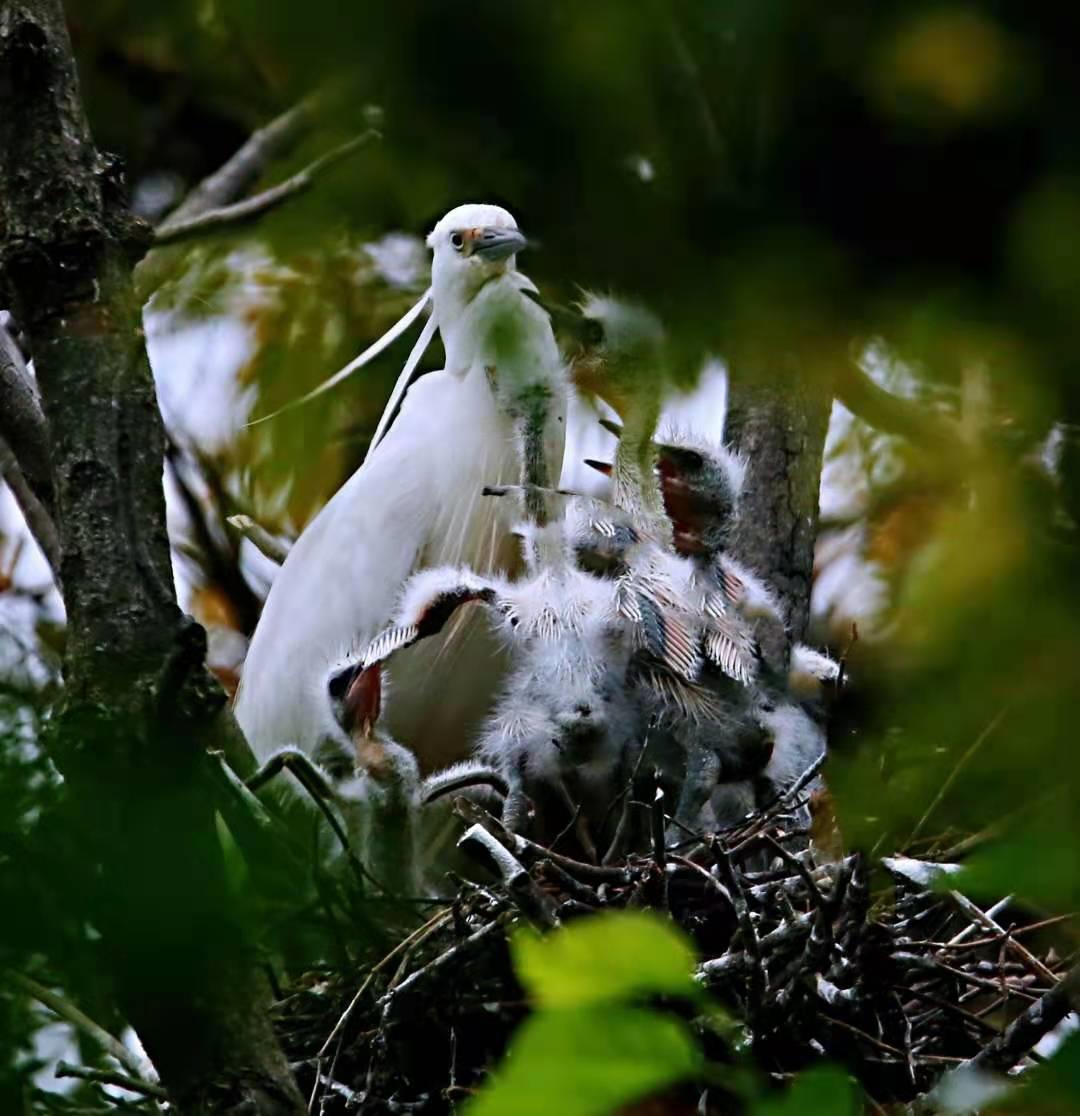 杭州旅游玻璃栈道漂流,杭州山清水秀大峡谷